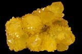 Sunshine Cactus Quartz Crystal Cluster - South Africa #132884-1